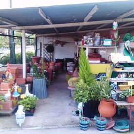 Jardinería Riojana Plantas de interior