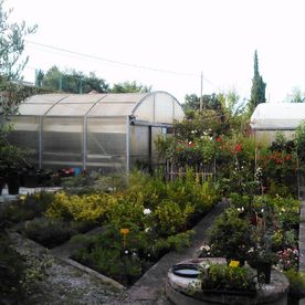 Jardinería Riojana Plantas de temporada