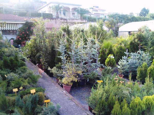 Jardinería Riojana variedad de plantas 