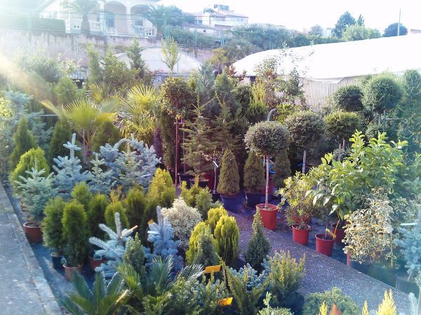 Jardinería Riojana centro de plantas